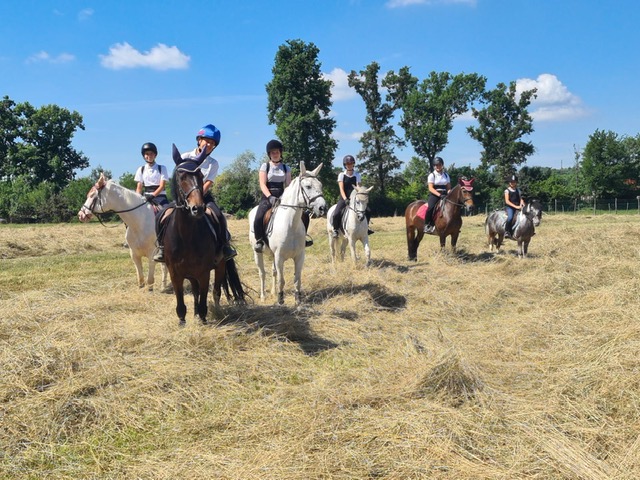 Tenuta La Mandria