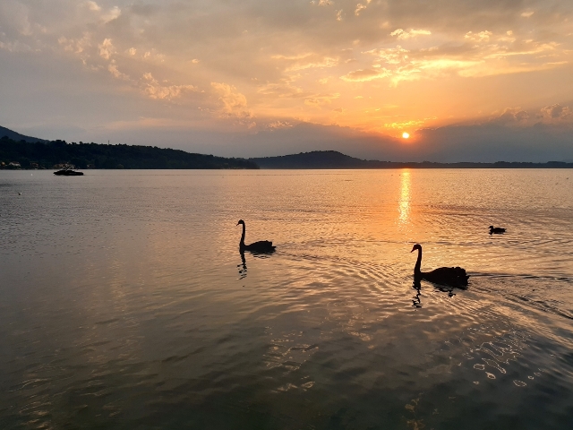 Campeggio Internazionale del Sole